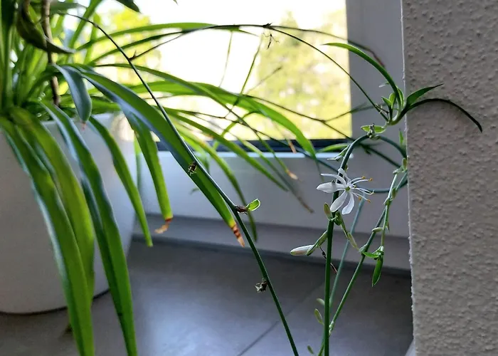 Kempten Mit Bauernhof-Flair