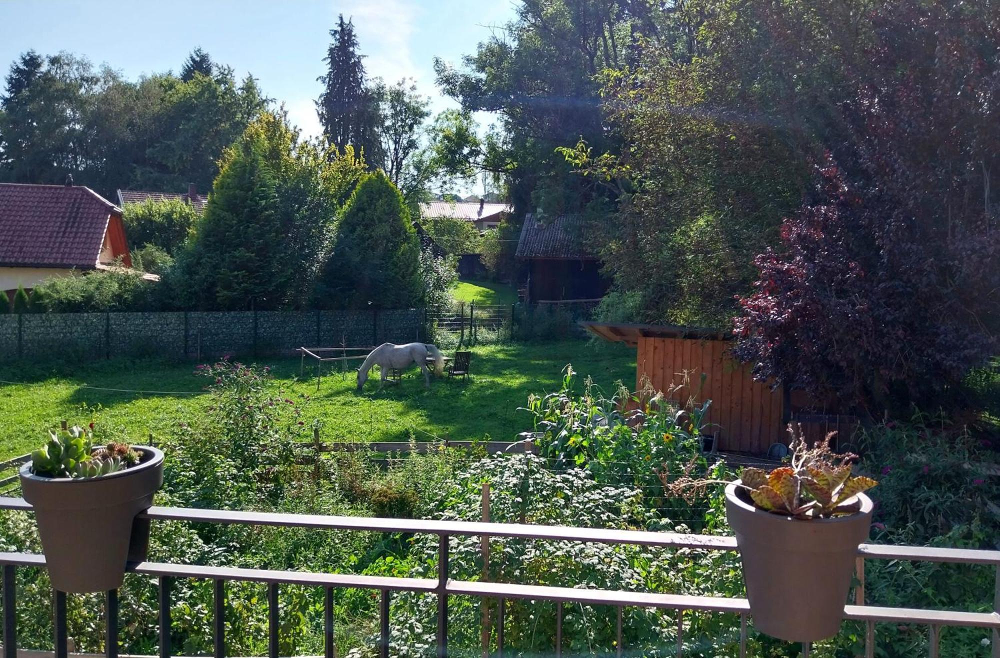 Mit Bauernhof-flair Kempten (Allgäu)